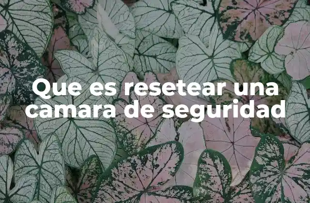 Que es Resetear una Camara de Seguridad 2 Cómo afecta el reseteo a la funcionalidad de la cámara