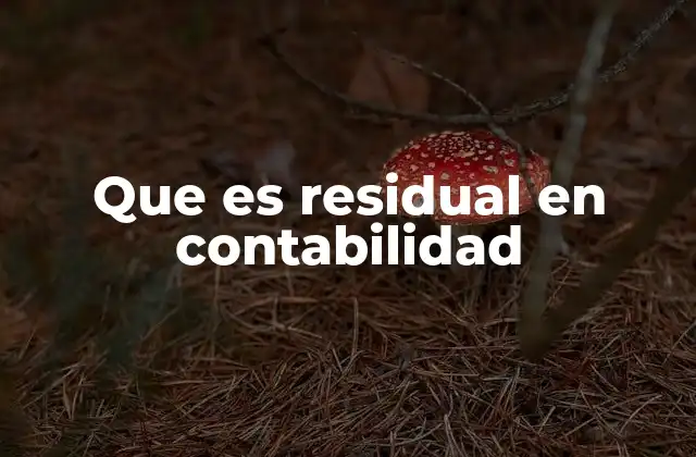 Que es Residual en Contabilidad