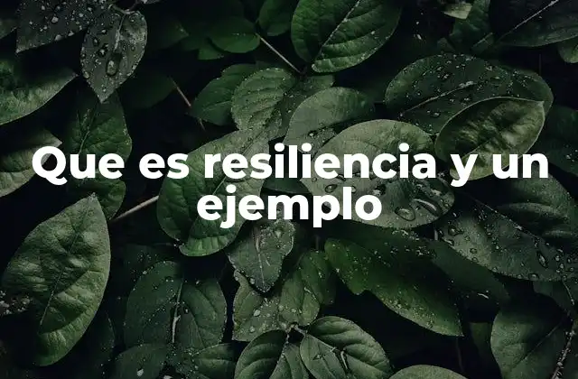 Que es Resiliencia y un Ejemplo