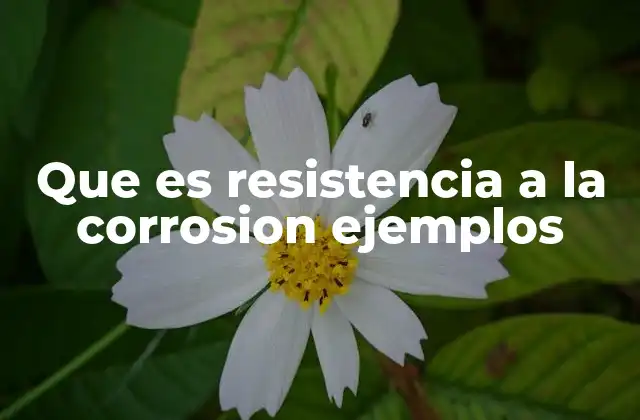 Que es Resistencia a la Corrosion Ejemplos
