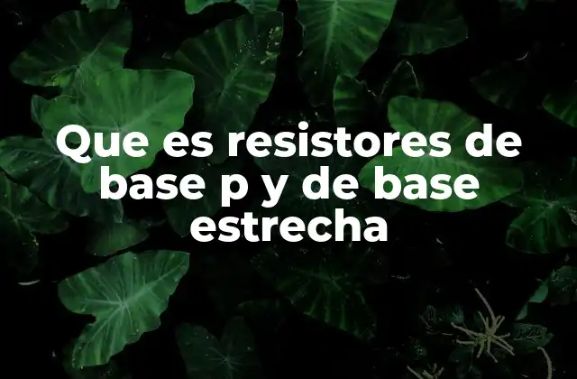 Que es Resistores de Base P y de Base Estrecha