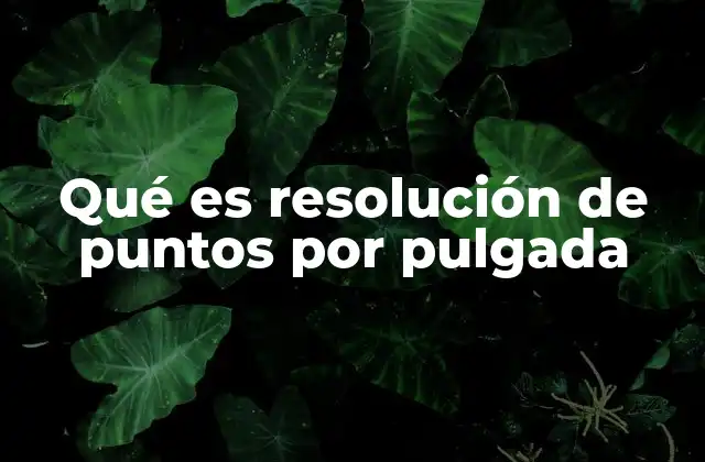 Qué es Resolución de Puntos por Pulgada
