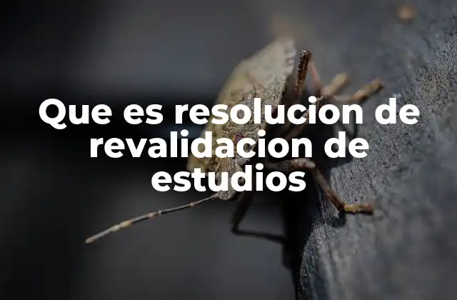 Que es Resolucion de Revalidacion de Estudios