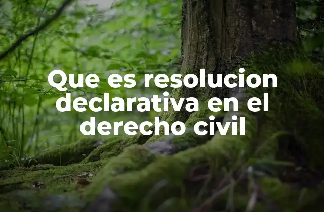 Que es Resolucion Declarativa en el Derecho Civil