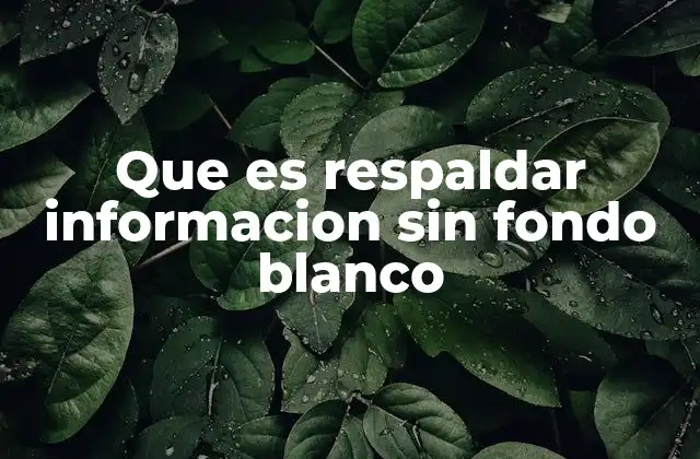 Que es Respaldar Informacion sin Fondo Blanco