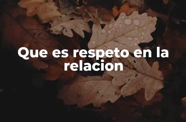 Que es Respeto en la Relacion
