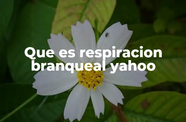 Que es Respiracion Branqueal Yahoo