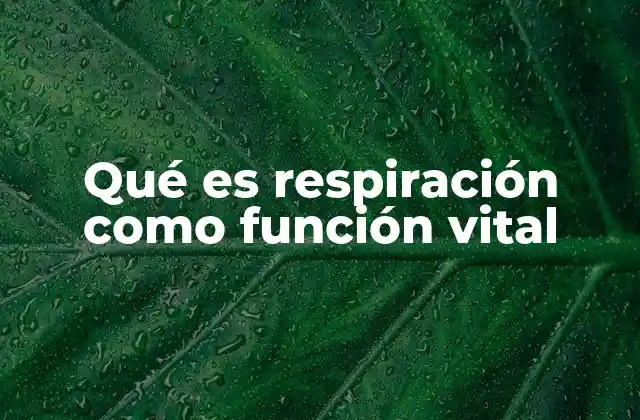 Qué es Respiración como Función Vital
