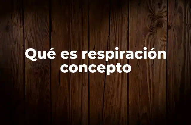 Qué es Respiración Concepto