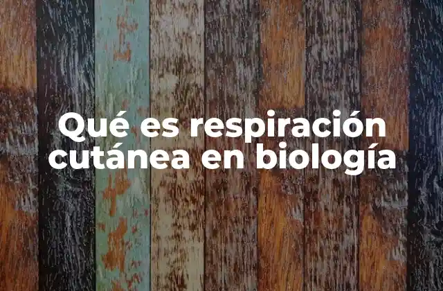 Qué es Respiración Cutánea en Biología