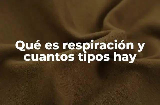 Qué es Respiración y Cuantos Tipos Hay