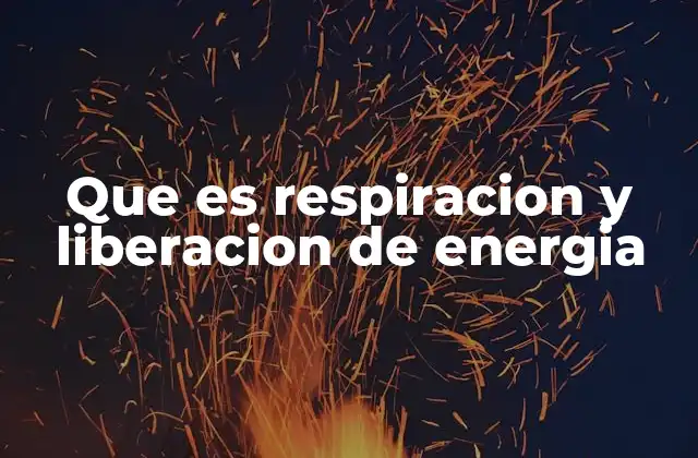 Que es Respiracion y Liberacion de Energia
