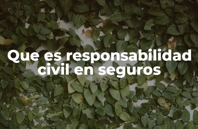 Que es Responsabilidad Civil en Seguros 2 La importancia de contar con un seguro de responsabilidad civil