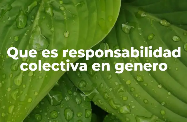 Que es Responsabilidad Colectiva en Genero