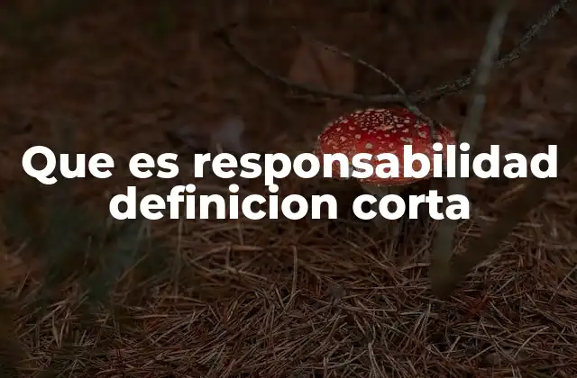 Que es Responsabilidad Definicion Corta