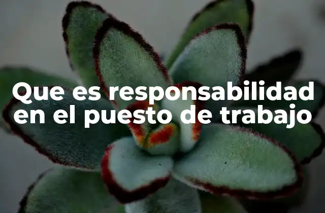 La importancia del compromiso profesional en el entorno laboral