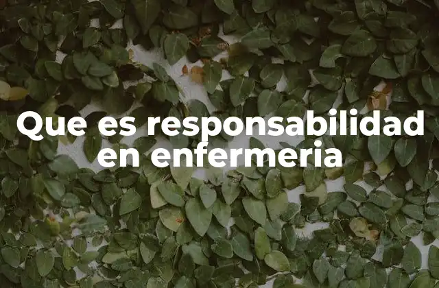 Que es Responsabilidad en Enfermeria