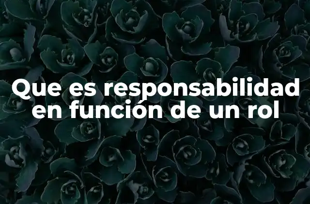 Que es Responsabilidad en Función de un Rol