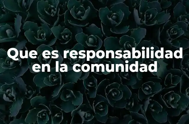 Que es Responsabilidad en la Comunidad