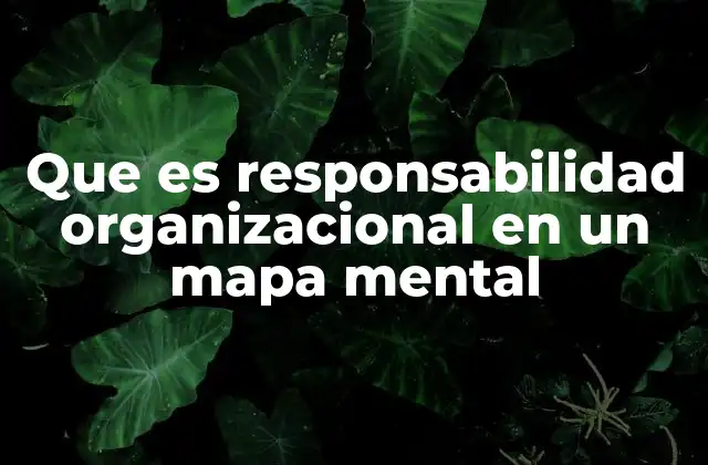 La importancia de la claridad en la distribución de tareas