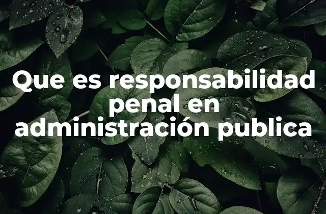 Que es Responsabilidad Penal en Administración Publica