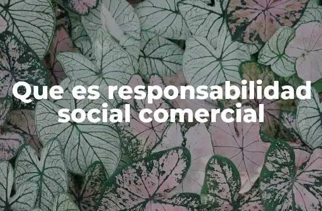 Que es Responsabilidad Social Comercial