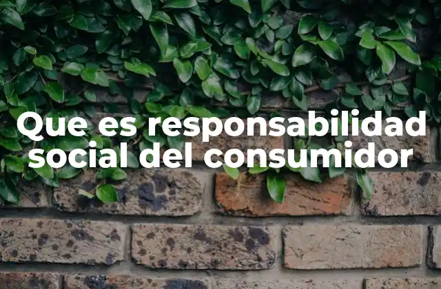 Que es Responsabilidad Social Del Consumidor