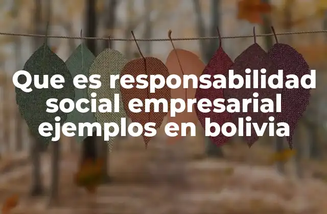 Que es Responsabilidad Social Empresarial Ejemplos en Bolivia