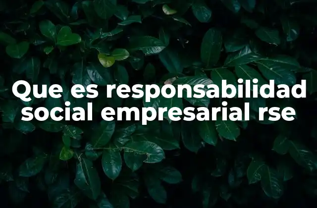 Que es Responsabilidad Social Empresarial Rse
