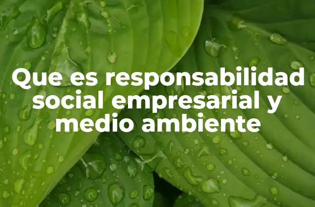 Cómo las empresas impactan el medio ambiente y qué se puede hacer al respecto
