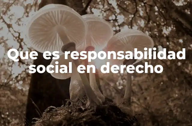 Que es Responsabilidad Social en Derecho