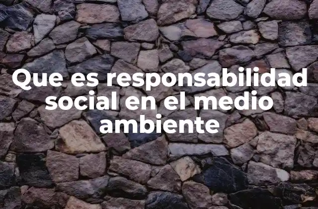 Que es Responsabilidad Social en el Medio Ambiente