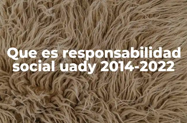 Que es Responsabilidad Social Uady 2014-2022