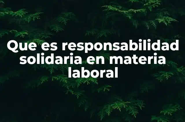 Que es Responsabilidad Solidaria en Materia Laboral