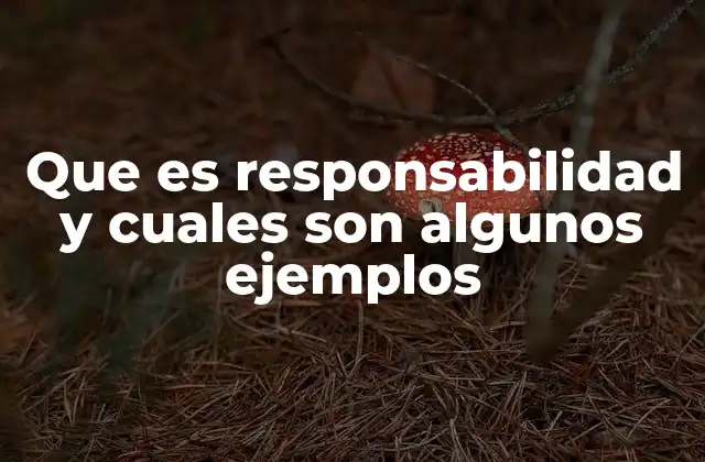 Que es Responsabilidad y Cuales Son Algunos Ejemplos