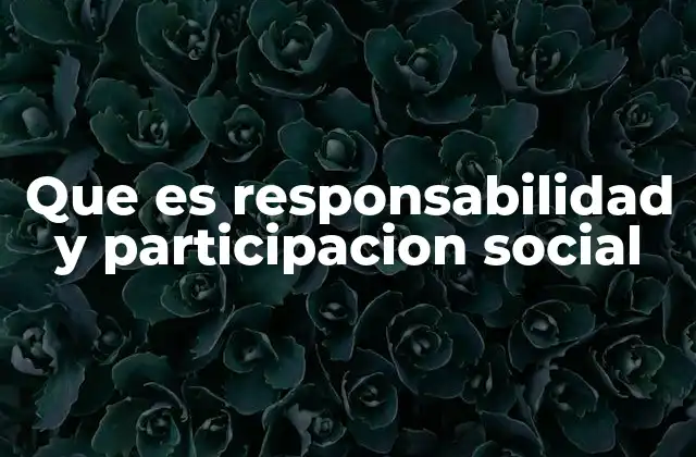 Que es Responsabilidad y Participacion Social