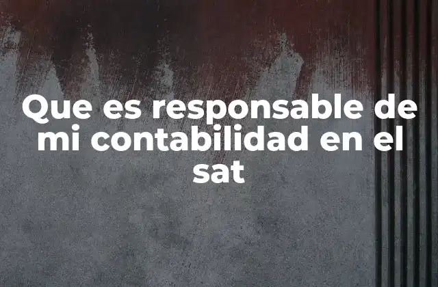 Que es Responsable de Mi Contabilidad en el Sat
