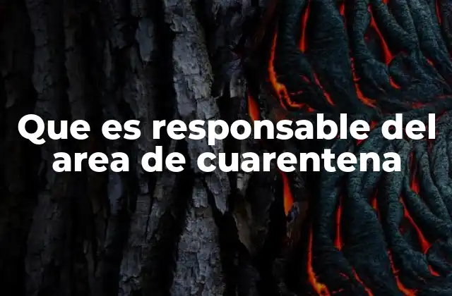 Que es Responsable Del Area de Cuarentena