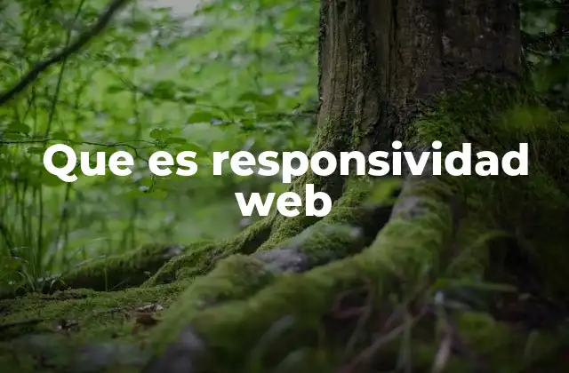 Que es Responsividad Web