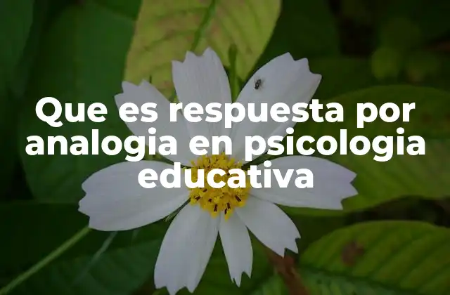 Que es Respuesta por Analogia en Psicologia Educativa