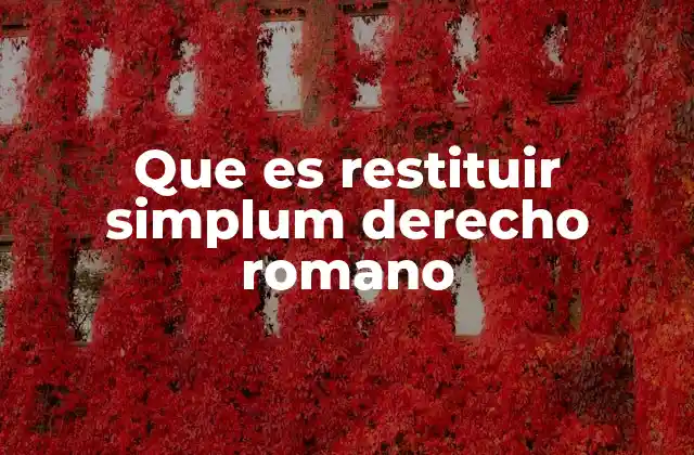 Que es Restituir Simplum Derecho Romano