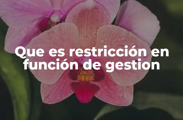 Que es Restricción en Función de Gestion