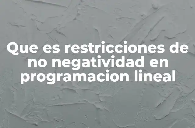 Que es Restricciones de No Negatividad en Programacion Lineal