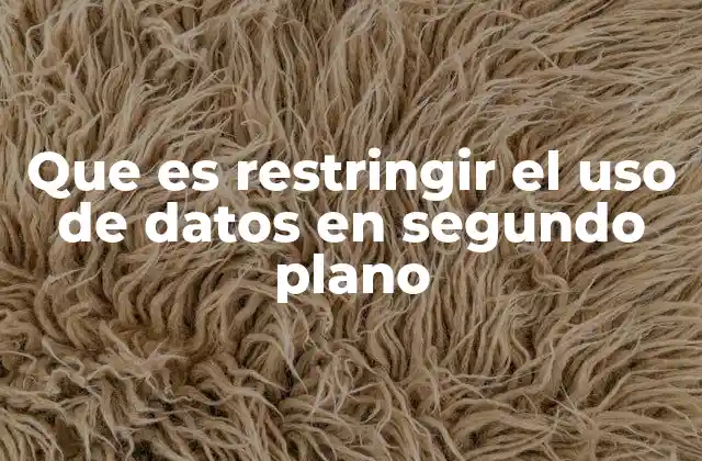 Que es Restringir el Uso de Datos en Segundo Plano
