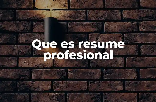 Que es Resume Profesional