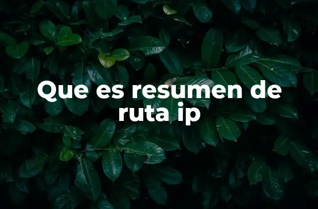 Que es Resumen de Ruta Ip