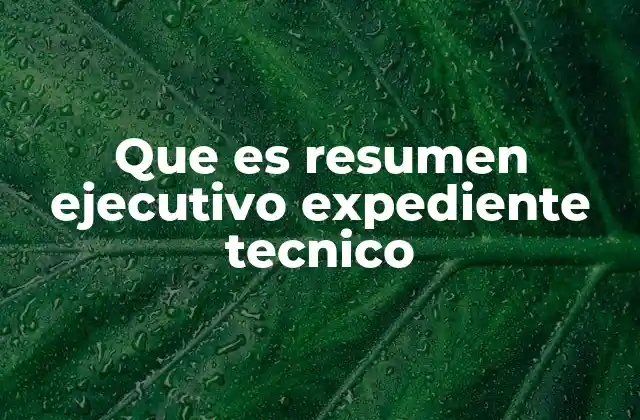 Que es Resumen Ejecutivo Expediente Tecnico 2 La importancia del resumen ejecutivo en un expediente técnico