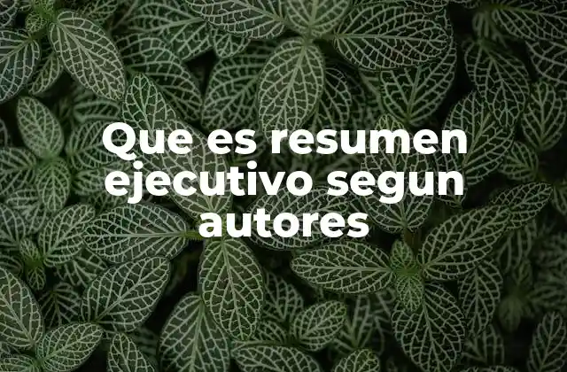 Que es Resumen Ejecutivo Segun Autores