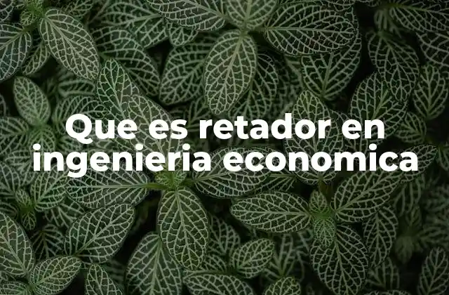Que es Retador en Ingenieria Economica