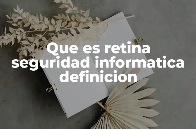 Que es Retina Seguridad Informatica Definicion
